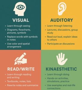 infographic of the different learning styles