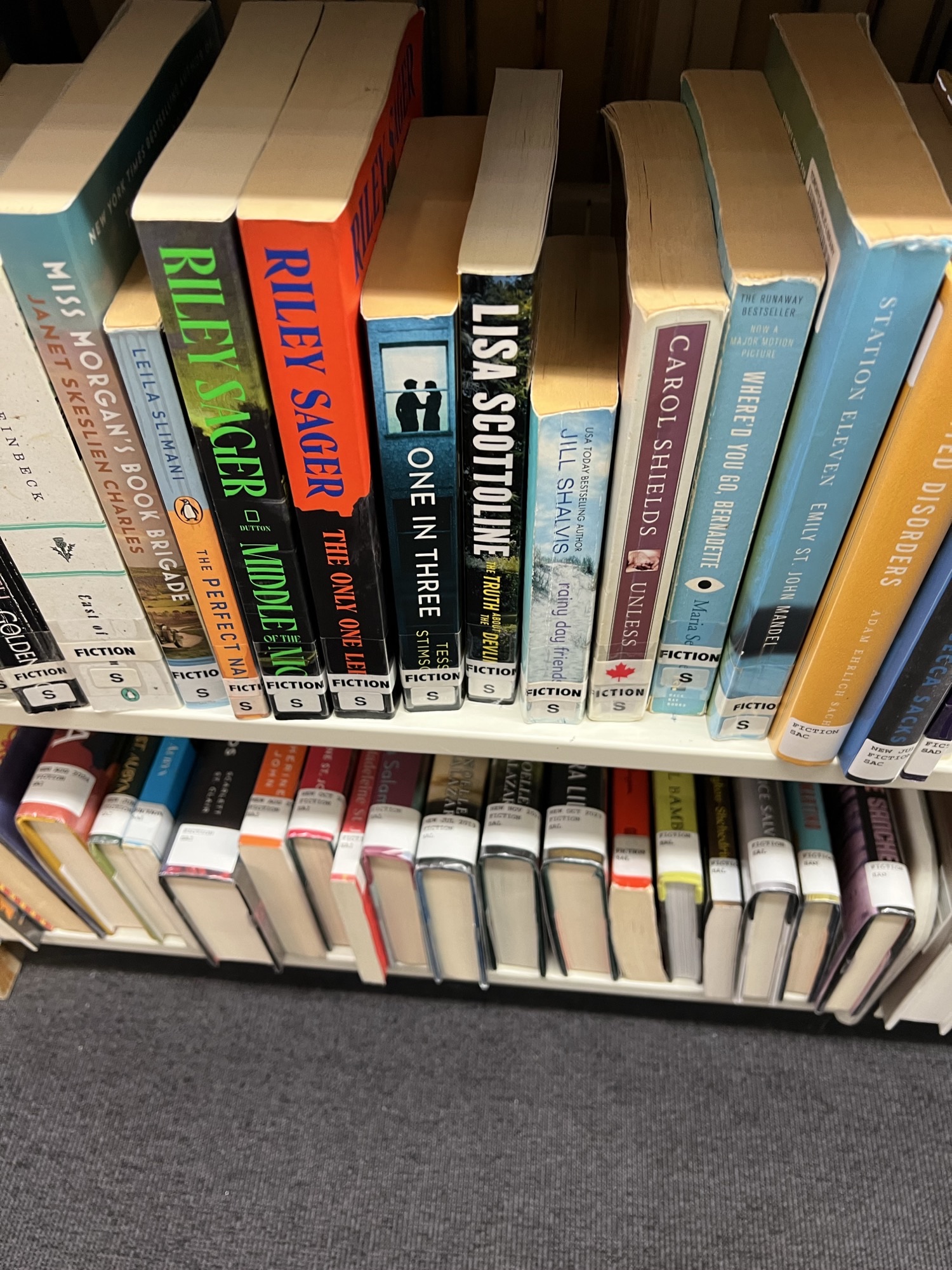 shelves of books