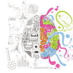 Graphic showing logical left brain in black and white, creative right brain in color, and corresponding left- and right-brain words on either side.