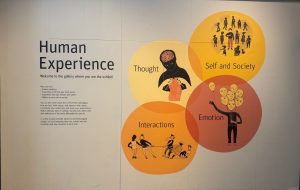 Adventures in AI at the Exploratorium, San Francisco 