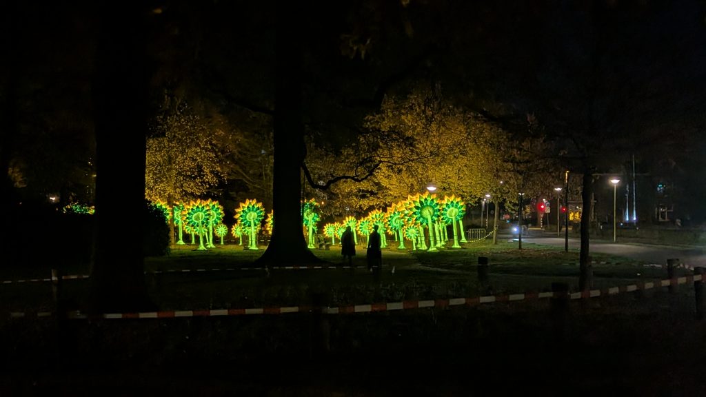 Demonstrating the joyful hue of glowing sunflowers in an otherwise dark, wooded urban area.