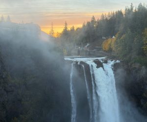 The Owls Are Not What They Seem (For the Twin Peaks Fans in Class)