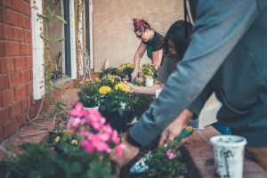 photo of three people planting flowers