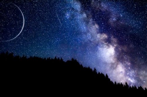 View of stars and clouds and a sliver of the moon behind a forest silhouette.