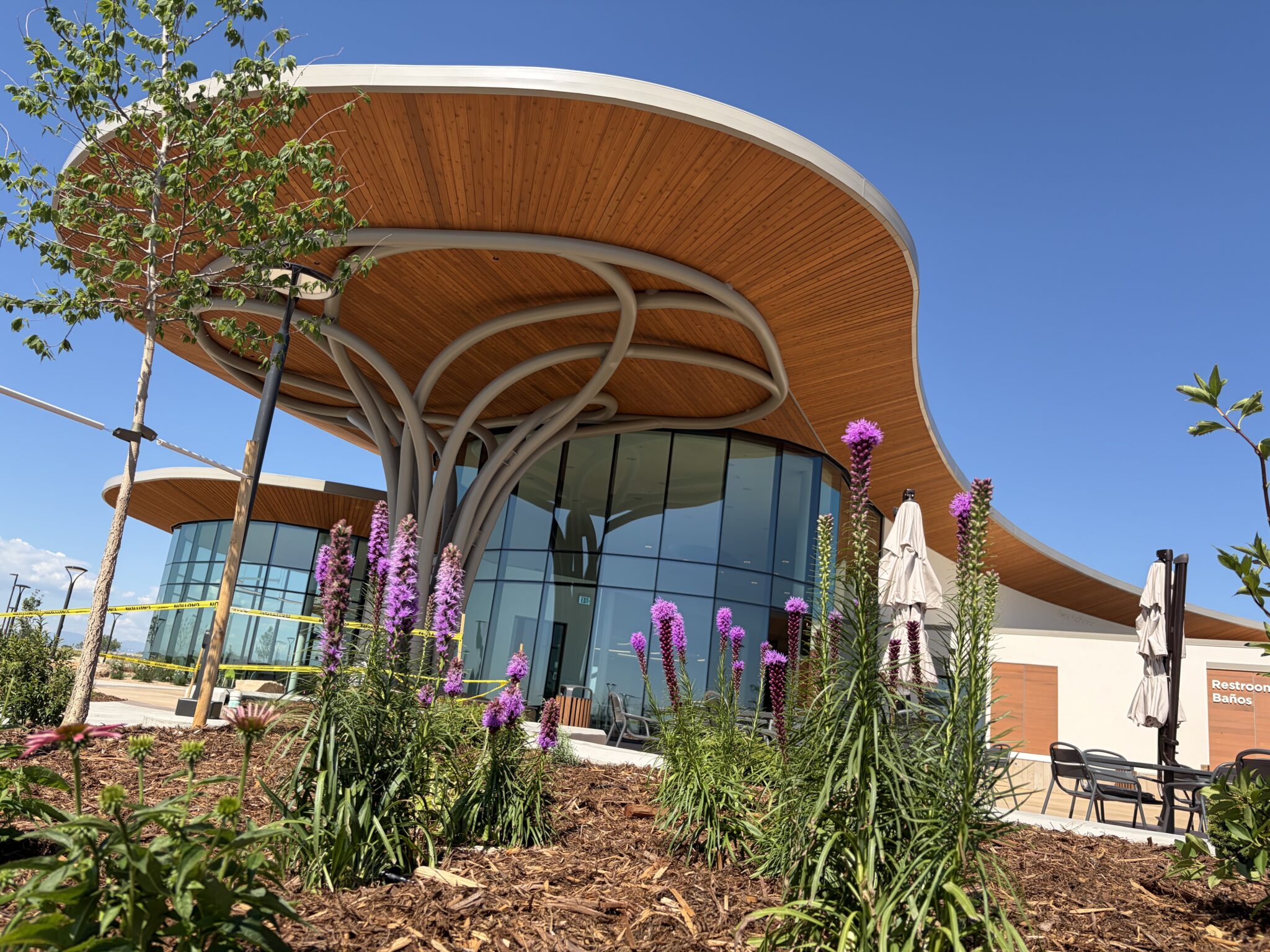 New Models: Reimagining Libraries