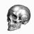 Site icon for The Morbid Librarian