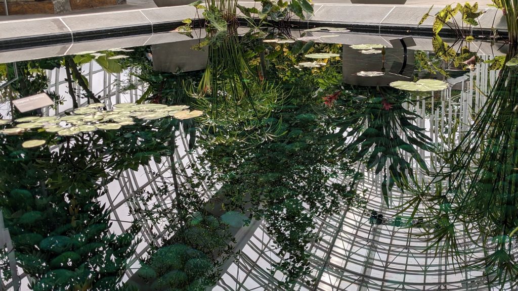 Complex reflection within a greenhouse conservatory spurs contemplation.