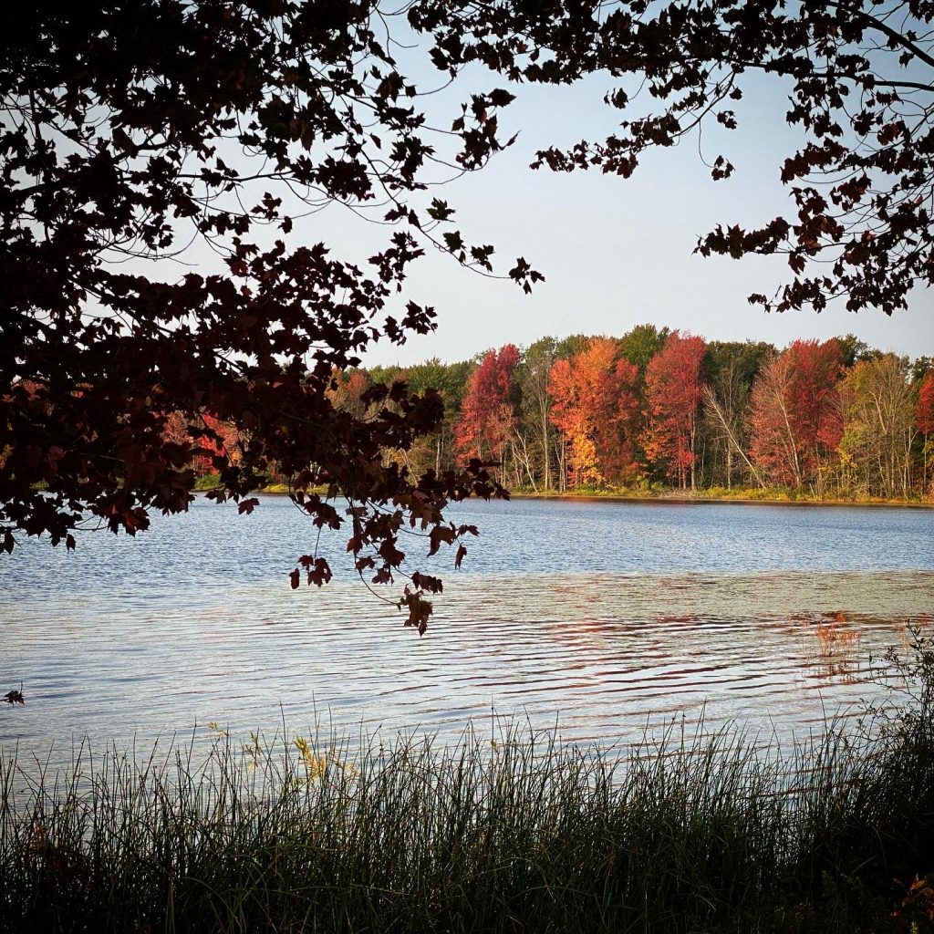Fall at the Lake