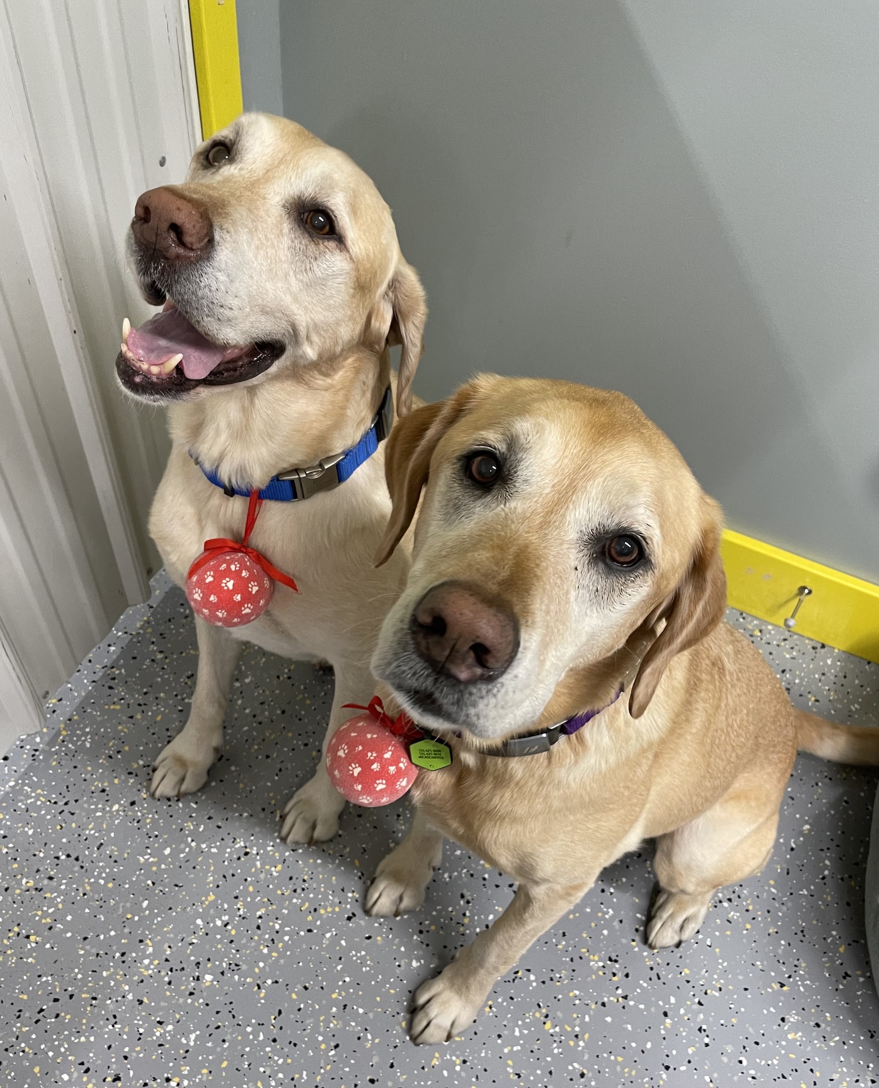 Participation & Engagement Activity